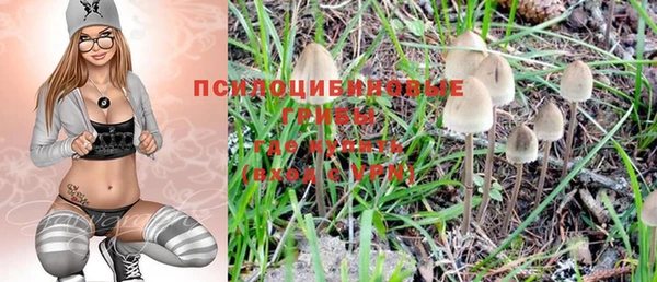 мескалин Дмитриев